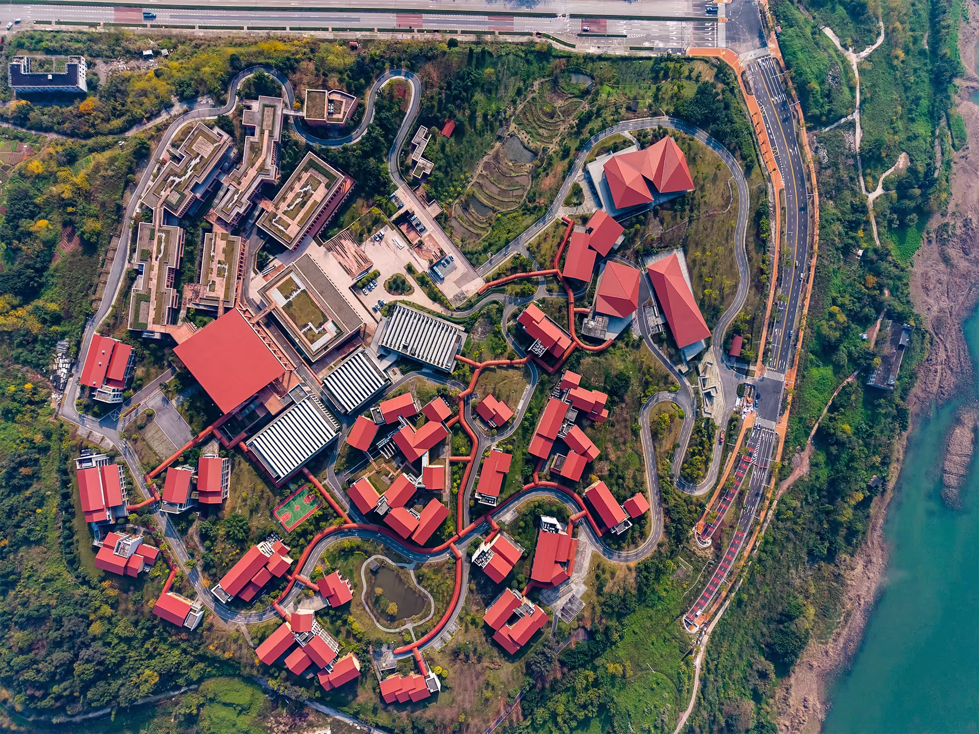 场景为脉 人才为基 重庆擘画人工智能应用高地新图景